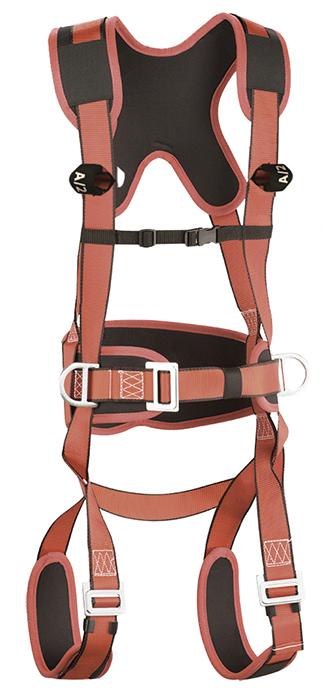 AEREA - IMBR.ANC.DORS.STER+CINT.POSIZ. PLUS (CI5P)